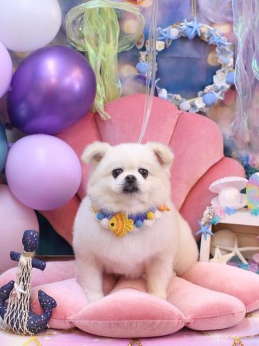 20240829ララちゃん